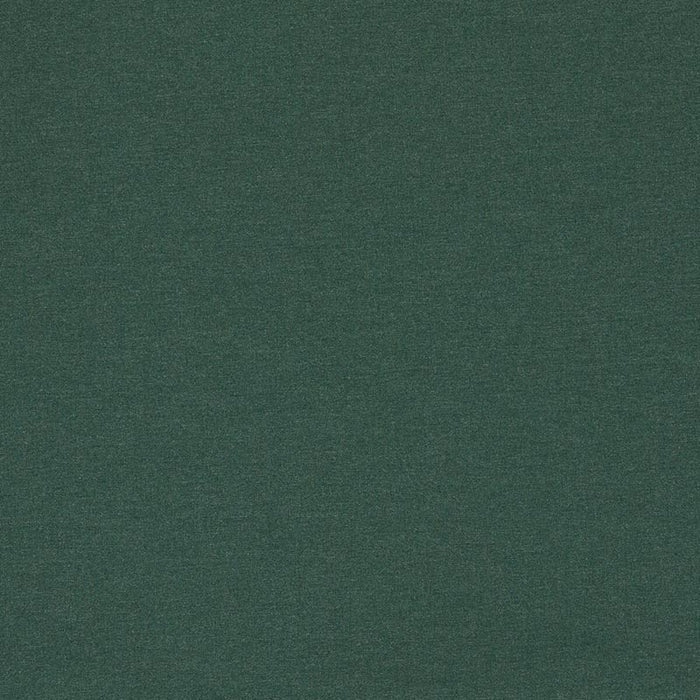 Clarke & Clarke Lugo Forest Fabric F1669/02.CAC.0