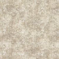 Clarke & Clarke Pittura Natural Fabric F1696/04.CAC.0