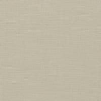 Clarke & Clarke Paradiso Pebble Fabric F1707/21.CAC.0