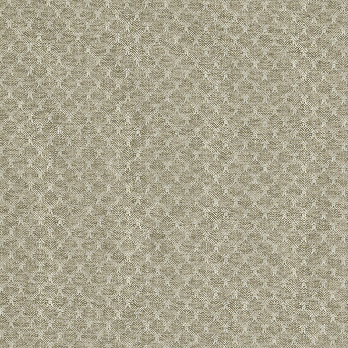 Clarke & Clarke Trelica Natural Fabric F1724/03.CAC.0