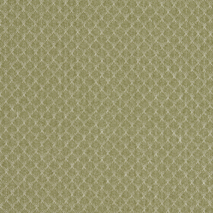 Clarke & Clarke Trelica Olive Fabric F1724/04.CAC.0