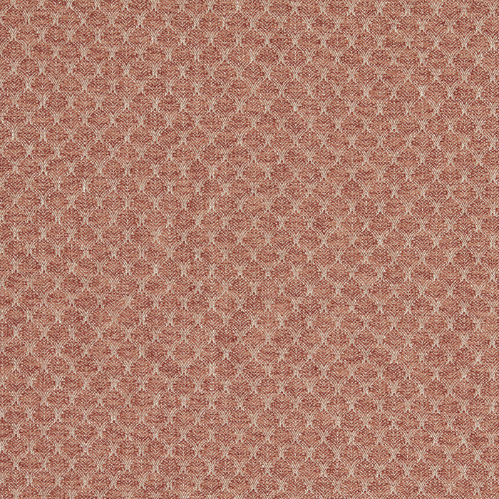 Clarke & Clarke Trelica Spice Fabric F1724/06.CAC.0