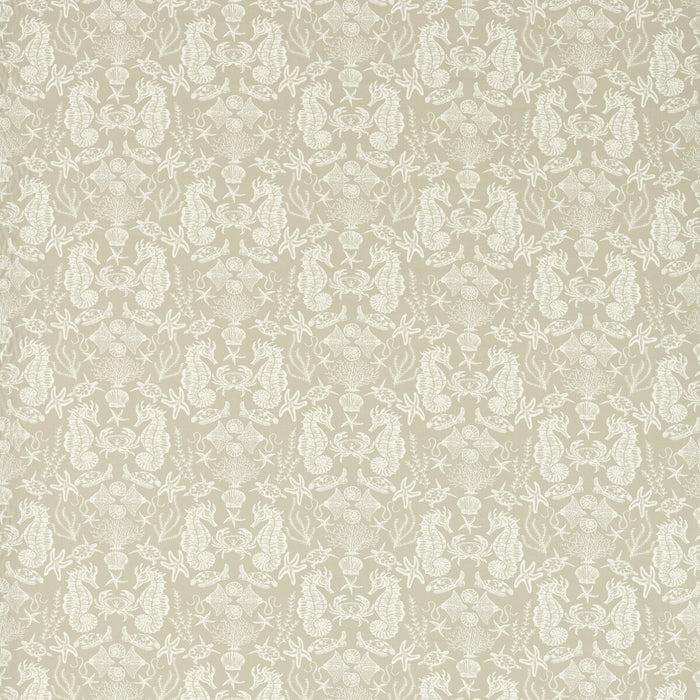 Clarke & Clarke Aquarium Natural Fabric F1725/02.CAC.0