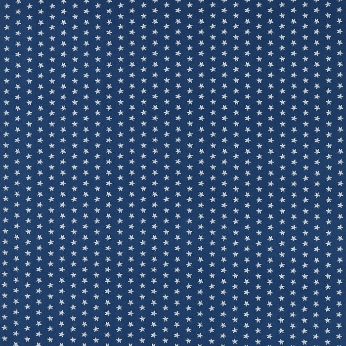 Clarke & Clarke Seastar Navy Fabric Sample F1730/04.CAC.0