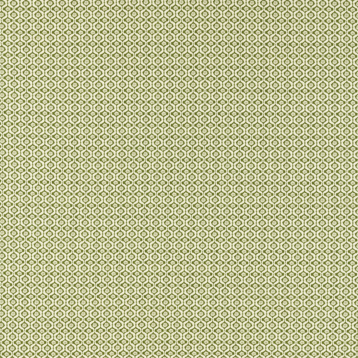 Clarke & Clarke Giverny Sage Fabric F1735/05.CAC.0