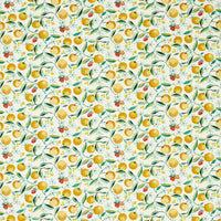 Clarke & Clarke Orange Blossom Citron Fabric F1784/02.CAC.0