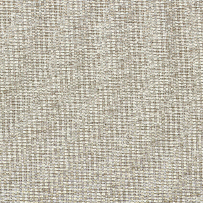 Clarke & Clarke Tergo Parchment Fabric Sample F1791/06.CAC.0