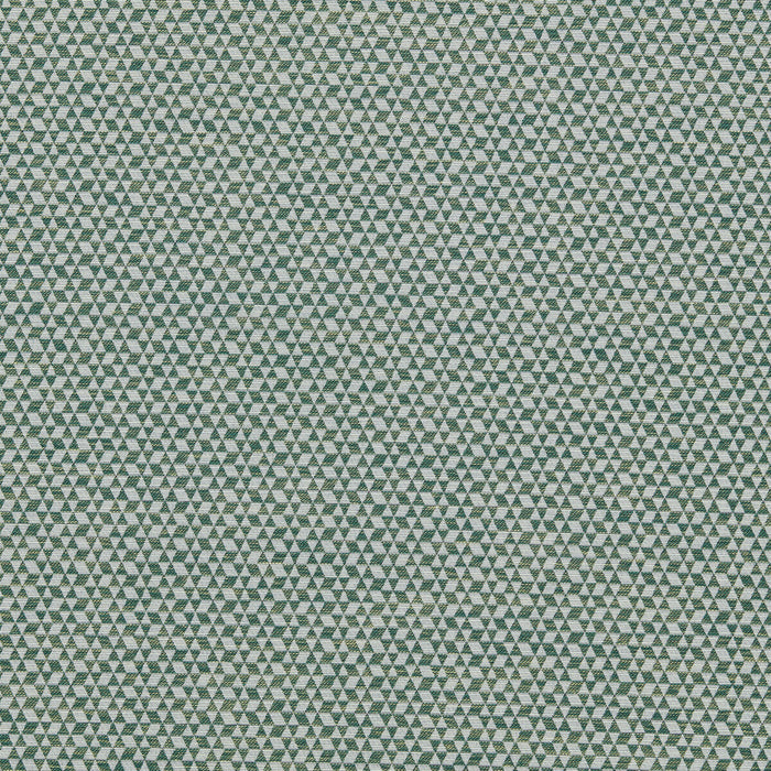 Clarke & Clarke Morro Forest Fabric F1797/05.CAC.0