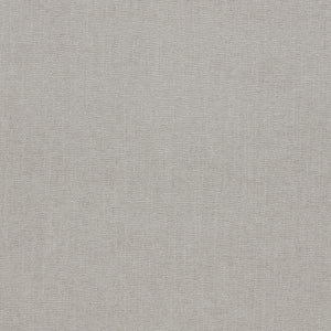 Clarke & Clarke Jaipur Silver Fabric F1806/35.CAC.0