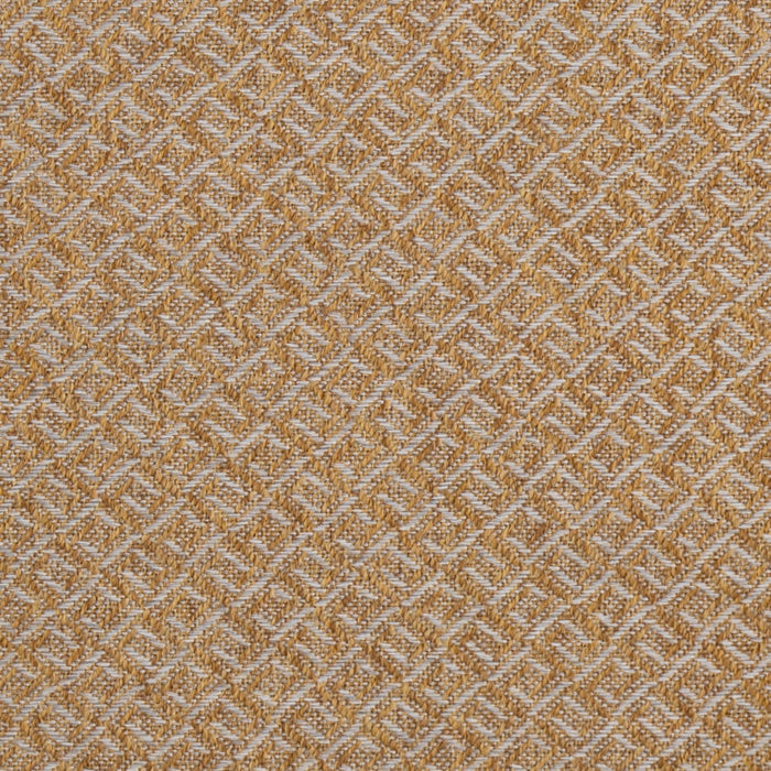Charlotte F200-209 Fabric Sample