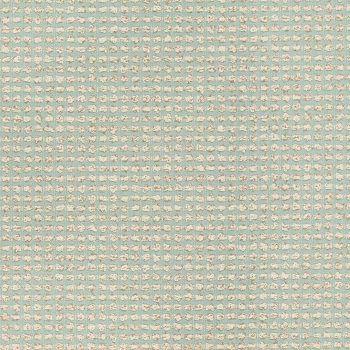 Charlotte  Fabric Sample F300-216