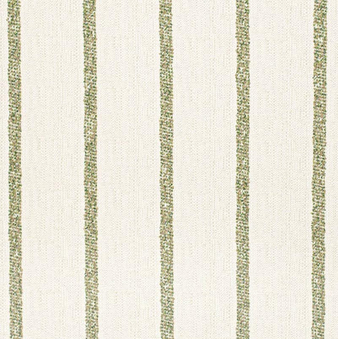 Charlotte  Fabric Sample F300-217