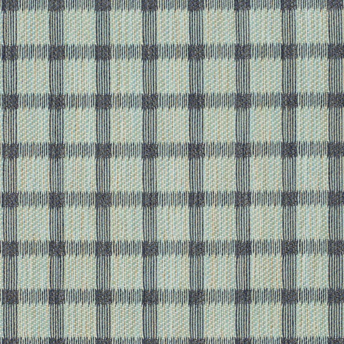 Charlotte  Fabric Sample F300-224