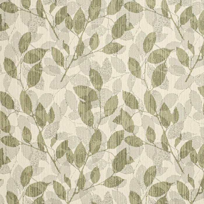 Charlotte  Fabric Sample F300-228