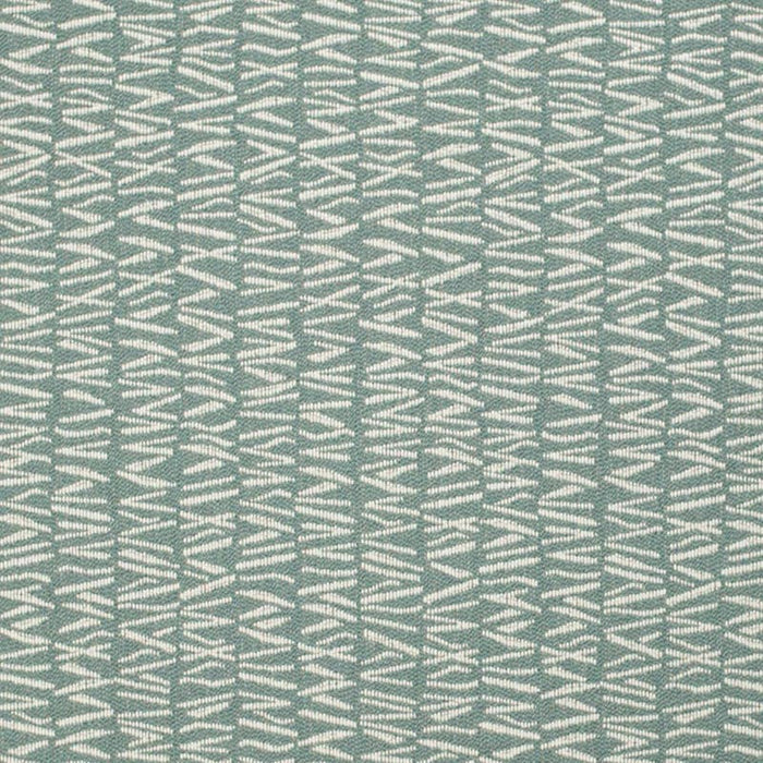 Charlotte  Fabric Sample F300-233