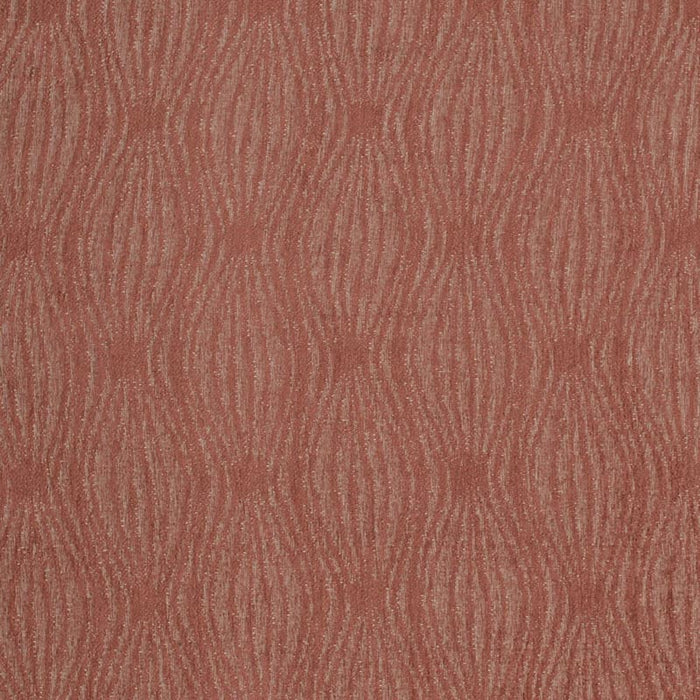 Charlotte  Fabric Sample F300-249