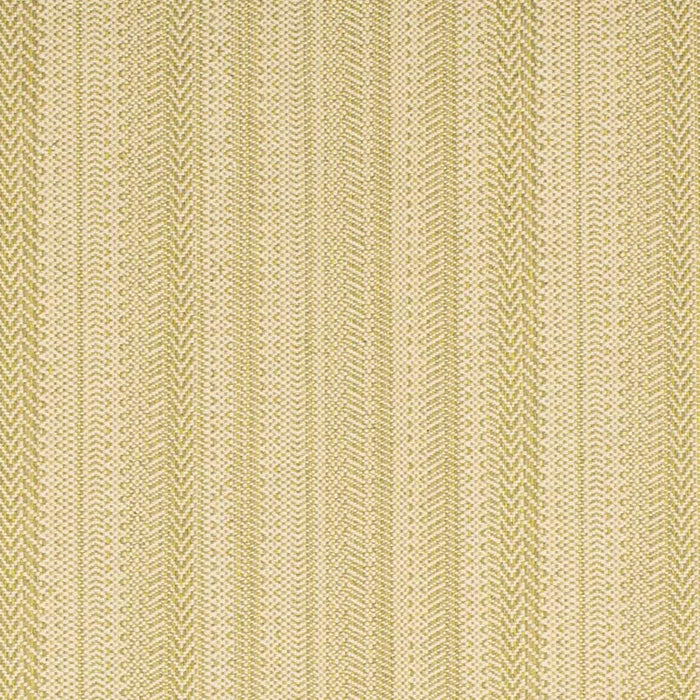 Charlotte  Fabric Sample F300-263