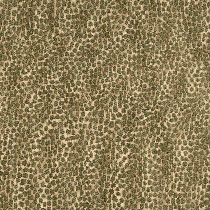 Charlotte  Fabric Sample F300-265