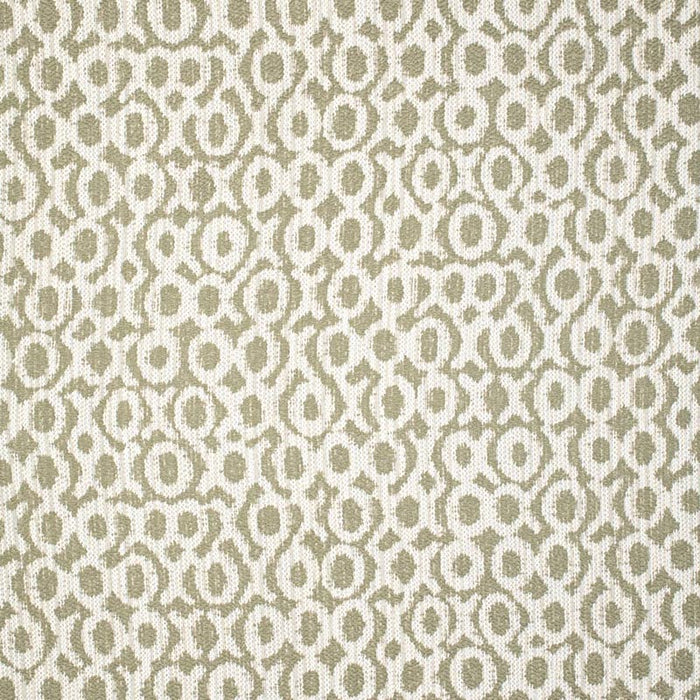 Charlotte  Fabric Sample F300-268