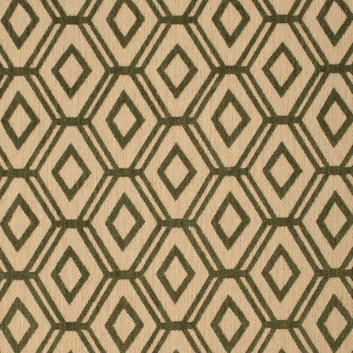 Charlotte  Fabric Sample F300-271