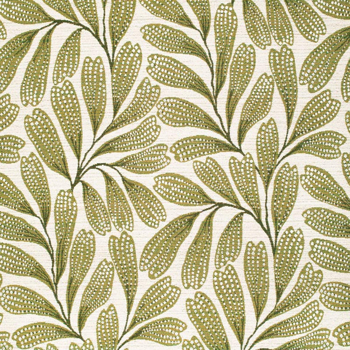 Charlotte  Fabric Sample F300-279