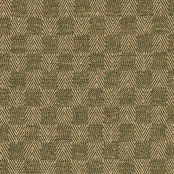 Charlotte  Fabric Sample F300-286