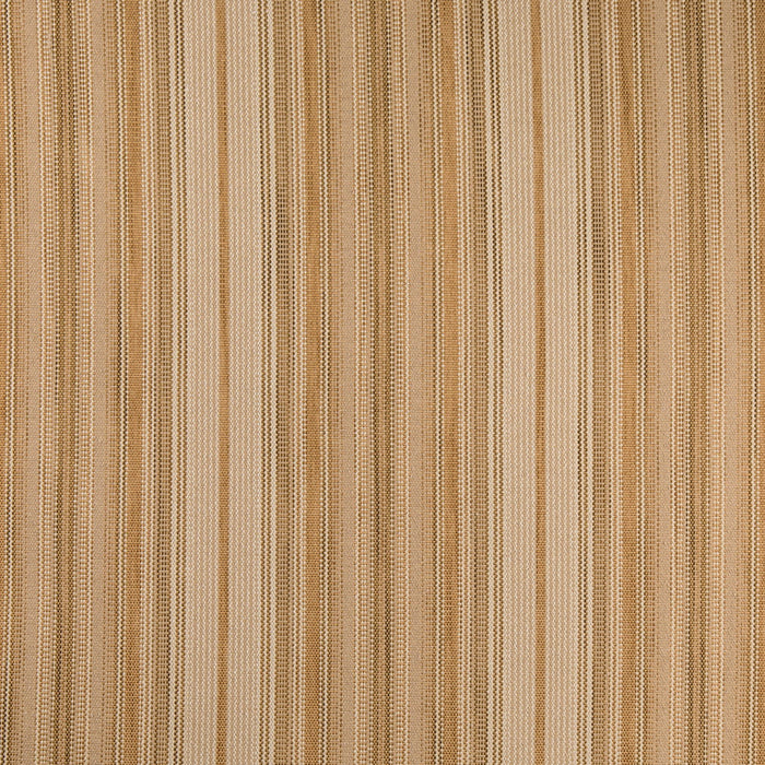 Charlotte F300-294 Fabric Sample