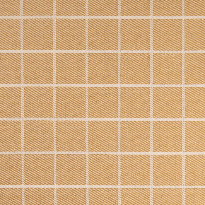 Charlotte F300-297 Fabric Sample