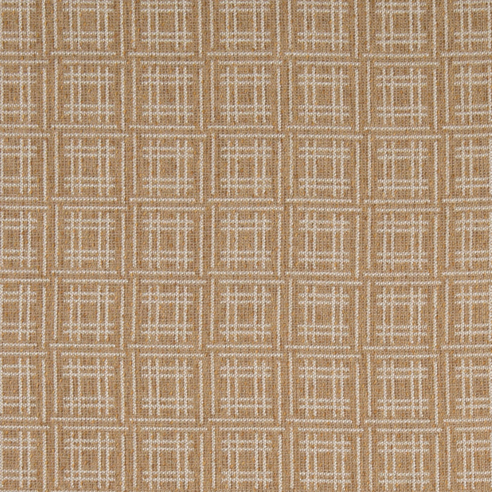 Charlotte F300-318 Fabric Sample