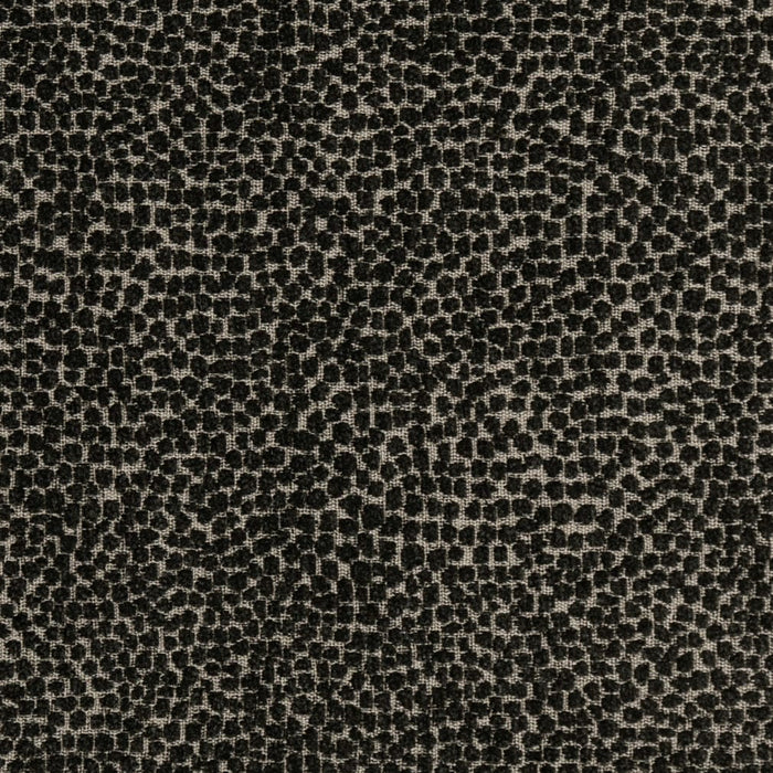 Charlotte F300-338 Fabric
