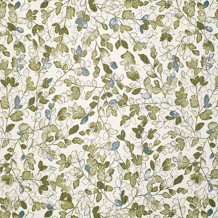 Charlotte  Fabric Sample F400-176