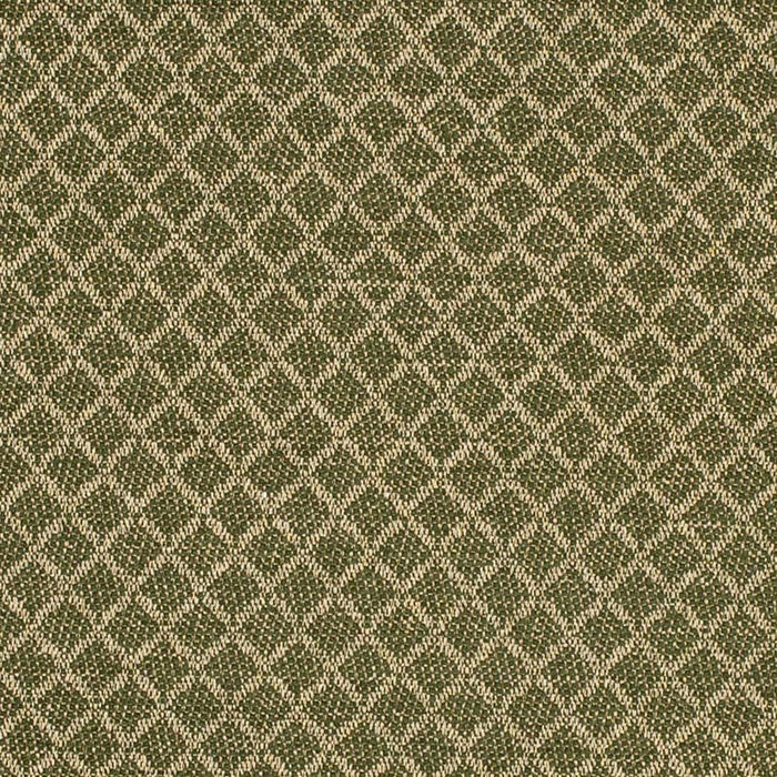 Charlotte  Fabric Sample F400-181