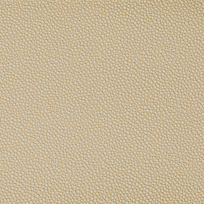 Kravet Contract Fetch Sandbar Fabric FETCH.1606.0