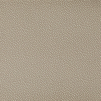 Kravet Contract Fetch Stone Fabric FETCH.1616.0