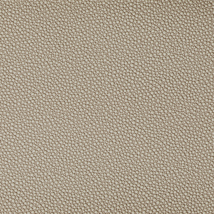 Kravet Contract Fetch Stone Fabric Sample FETCH.1616.0