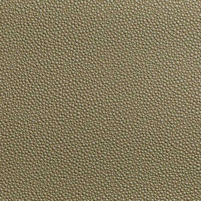 Kravet Contract Fetch Radiant Fabric FETCH.16.0