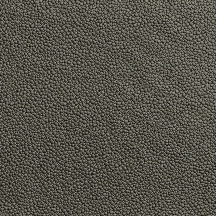 Kravet Contract Fetch Granite Fabric FETCH.21.0