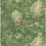 Mulberry Home Mulberry Woodland Spring Wallpaper Sample FG124.S115.0