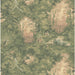Mulberry Home Mulberry Woodland Sunrise Wallpaper Sample FG124.Y21.0