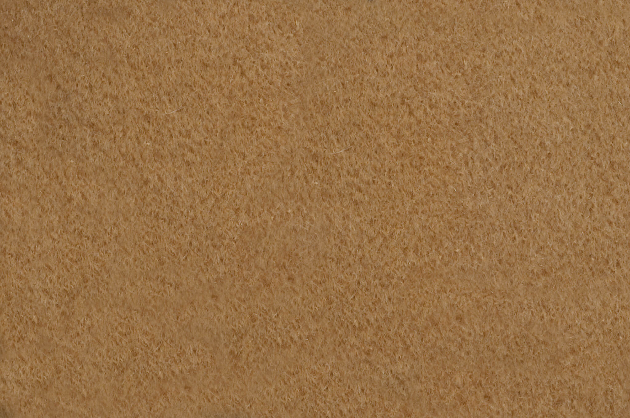 Pierre Frey Teddy Mohair Miel Fabric F2500003
