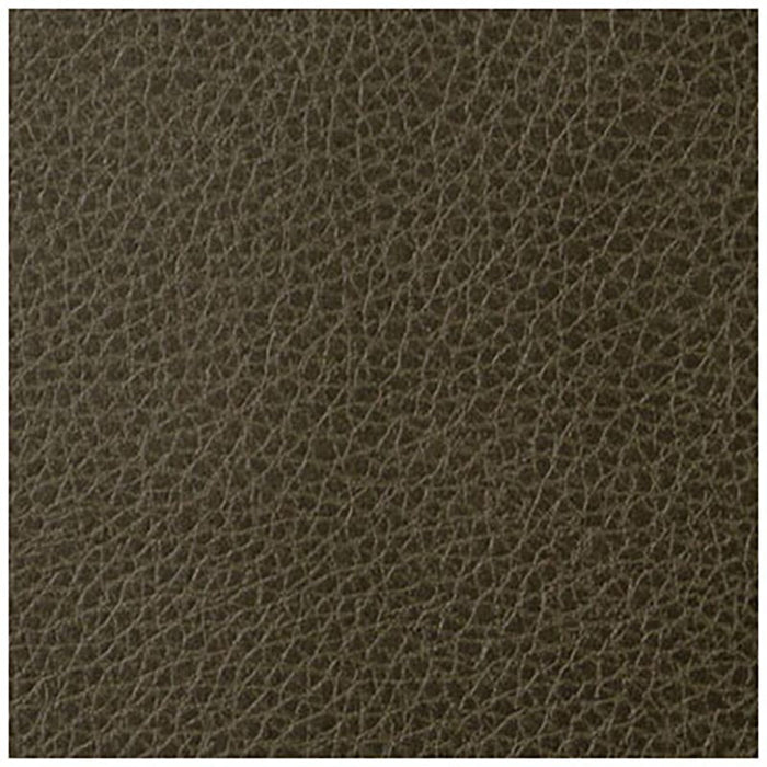Kravet Contract Foothill Tortoise Fabric Sample FOOTHILL.33.0