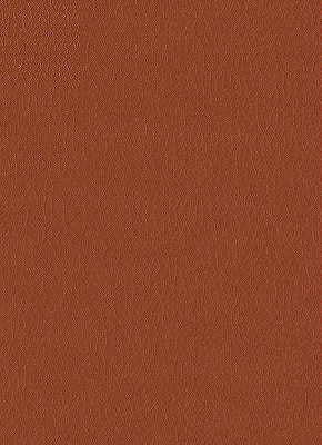 Kravet Design FORTUNE.24.0 Fortune-24 Fabric Sample
