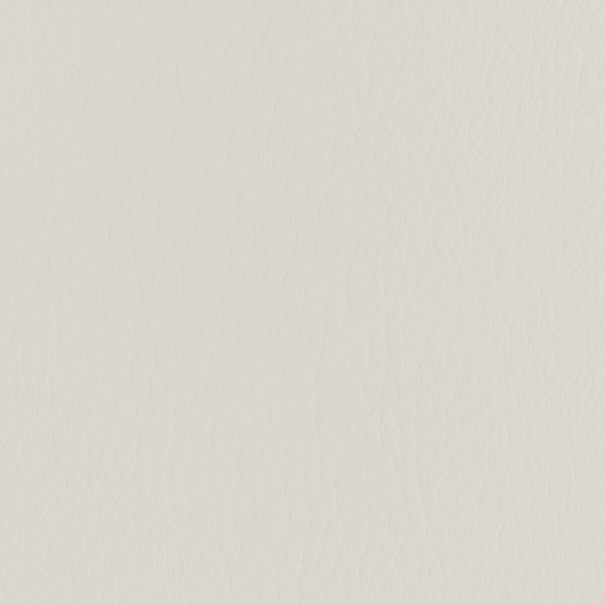 Kravet Contract Forza Limestone Fabric Sample FORZA.1101.0