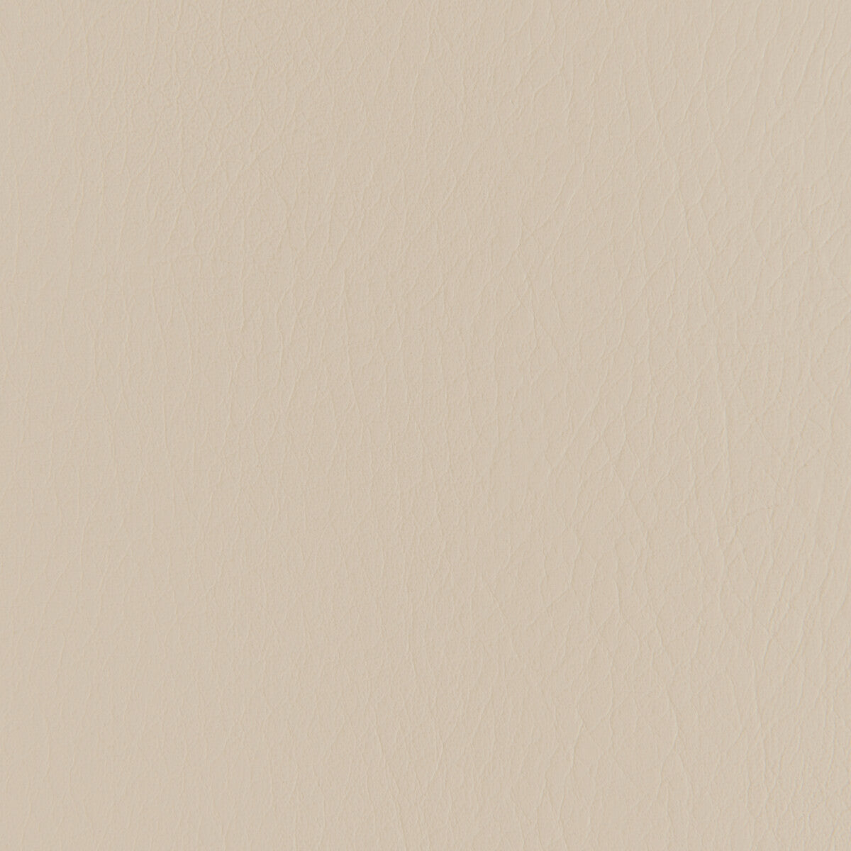 Kravet Contract Forza Au Lait Fabric Sample FORZA.1116.0