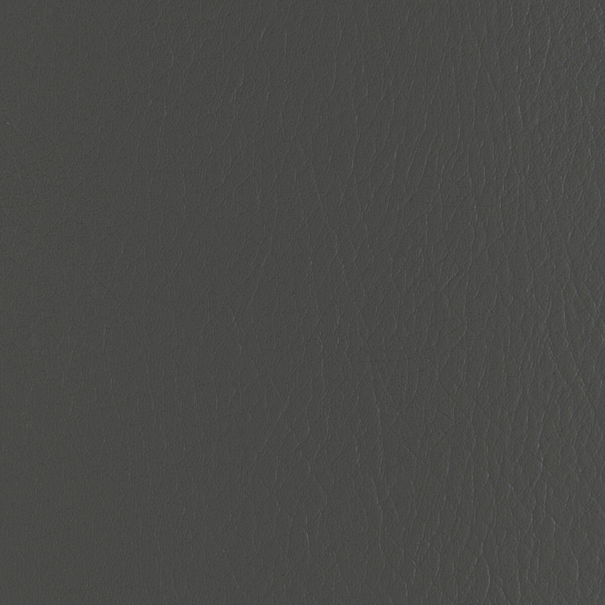 Kravet Contract Forza Thunder Fabric Sample FORZA.1121.0