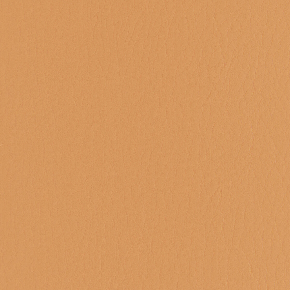 Kravet Contract Forza Papaya Fabric Sample FORZA.112.0