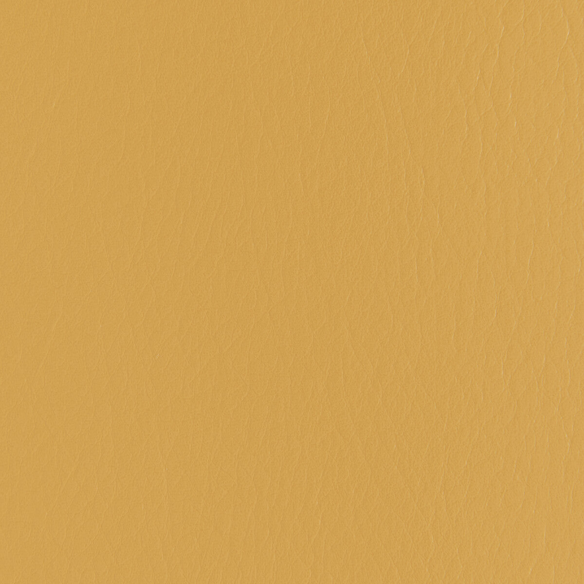Kravet Contract Forza Squash Fabric Sample FORZA.12.0