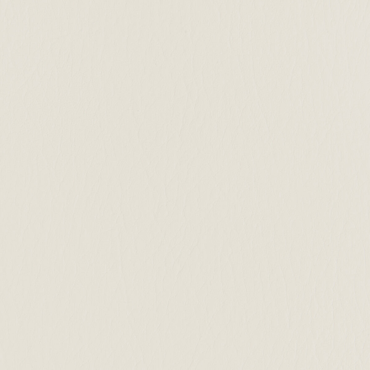 Kravet Contract Forza Parchment Fabric Sample FORZA.1601.0