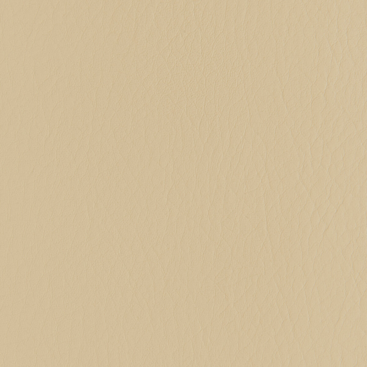 Kravet Contract Forza Sandstone Fabric Sample FORZA.16.0