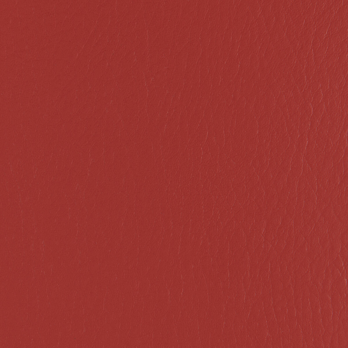 Kravet Contract Forza Chili Fabric Sample FORZA.19.0